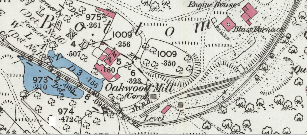 An image showing Extract from 1881 OS Map at Oakwood
